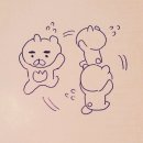 콩깍지 이미지