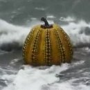 바다에풍덩 이미지