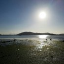 가우도 펜션 이미지