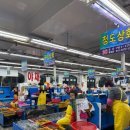 광안리회센터 회포장추천 민락회센터 5번 함양상회 후기