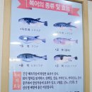 북구맛집/구암동맛집/칠곡3지구맛집] 칠곡3지구 밥집 강남복어에서 복어코스요리 제대로 즐기고 왔어요^^