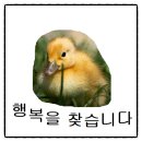 남편 시니어모델 스토리 2탄) 실패도 과정일 뿐! 한국모델협회 2차예선후기 #도봉구청고마워요