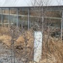 루티니아 | 아산 곡교천 카페 루티니아 방문 후기｜분위기 좋은 브런치 카페