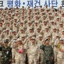 자이툰 이미지