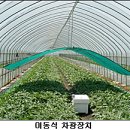 후미3리 이미지