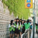 선일여자중학교 이미지