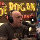 "돈도 많으면서 지붕 왜 안 지어?" 조 로건, UFC 백악관 야외 개최 비판 이미지
