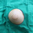 새봄외과의원 이미지