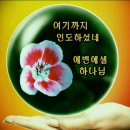 에벤에셀 Daum카페