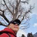 산새소리 이미지