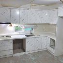 광진 pet 이미지