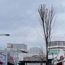 삼거리떡집 - 남구 용호로106번길 43 | 삼거리떡집