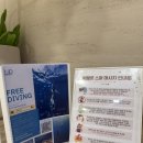 씨엘로호텔(Cielo Hotel) | 세부 마사지 씨엘로스파 허브볼 마사지 :: 샤워시설&amp;가격&amp;픽드랍 서비스 총정리 (내돈내산)