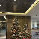 대구 메리어트 호텔 | 동대구 메리어트 호텔 킹 룸 이용 후기