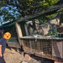 축복 | 화성 송산 정육식당 숨은 맛집 / 암소한우만 찐단골 축복식당 후기(내돈내산)