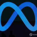 메타문