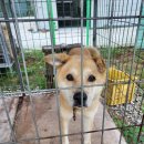 묵동-055 이미지