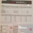 [지산스5기] 태영 데시앙플렉스 분양권 2건 투자 (2020년 9월 계약) 이미지