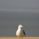 (주)한교연 이미지