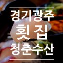 초월역 | [경기광주횟집] 가성비 최고였던 청춘수산 초월역점 후기