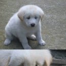 더주세요 이미지