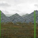 울주 대곡리 반구대 암각화 이미지