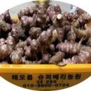 해오름식품 네이버블로그