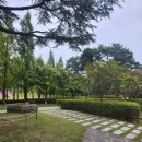 진카페 - 남양주시 마석중앙로 104-1 | 진카페