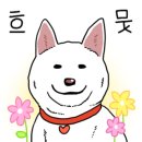 알레아베크