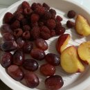 이가진우동 | [7-9월] 먹기만 하는 노잼일기