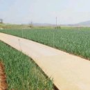 보전경로당 이미지