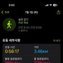요가주간 이미지