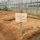 혜진농장 이미지