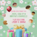 2025 엘리시안 강촌 &#39;숲속빵시장&#39; 강원 빵 축제 (5월 25일)