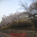 개나리아파트정문 주변 이미지