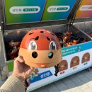 횡성청정한우횡성지점 | 횡성 루지 체험장 2.4km 질주한 국내 액티비티 여행