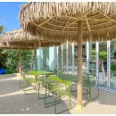 할리베어 이미지