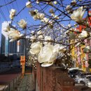 성산구 ⓒ-18 이미지