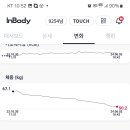 싱싱 이미지