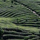 강북제일한의원 | 찌뿌둥한 몸뚱이, 이제 못 참지! 강북안정한의원 솔직 후기