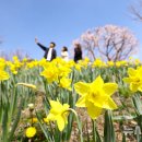 푸른하늘 이미지