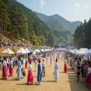 책과 사람이 함께 즐거운 무더위사냥 | 무더위 탈출! 평창 더위사냥축제 핵심 정보 총정리 (2025)