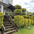 노고지리펜션 이미지