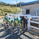 함안 승마장 이미지