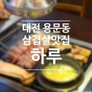 4697 | [맛집] 대전 용문동 고깃집 <하루> 삼겹살 맛집 후기