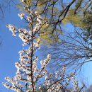나들아
