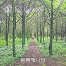 [출발-제주 2박3일] 한라산 눈꽃과 오름 &amp; 올레,동백(1/30 토요일) 이미지