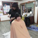 예솜동산 Daum카페