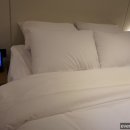 The Van (더반 모텔) 이미지