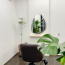 헤어세렌디피티 네이버블로그